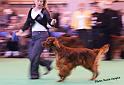 crufts_985