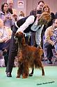 crufts_989