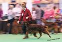 crufts_995