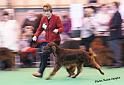 crufts_996