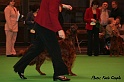 crufts042