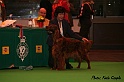 crufts045