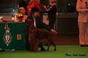 crufts046