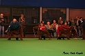 crufts047