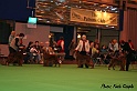 crufts049