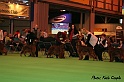 crufts050