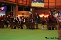 crufts051