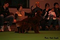 crufts052