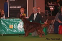 crufts074