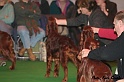 crufts077