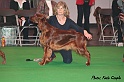 crufts081