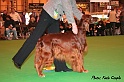 crufts093