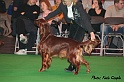 crufts096