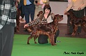 crufts099