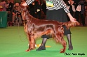 crufts139