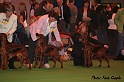 crufts151