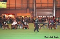 crufts153