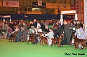 crufts154