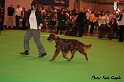 crufts157