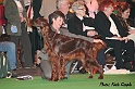 crufts159