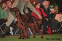 crufts161