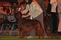 crufts164