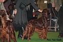 crufts175