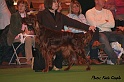 crufts181