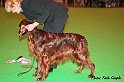 crufts200