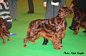 crufts201