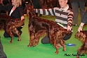 crufts202