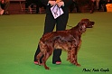 crufts219