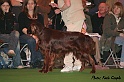 crufts227