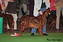 crufts246