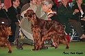 crufts291