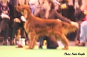 crufts299