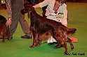 crufts319