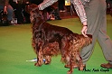 crufts320