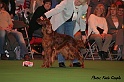 crufts341