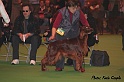 crufts361