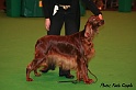 crufts376