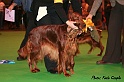 crufts382