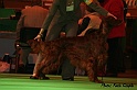 crufts389