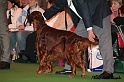 crufts432