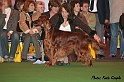 crufts436