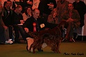 crufts470